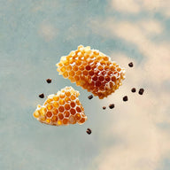 Propolis-Pulver